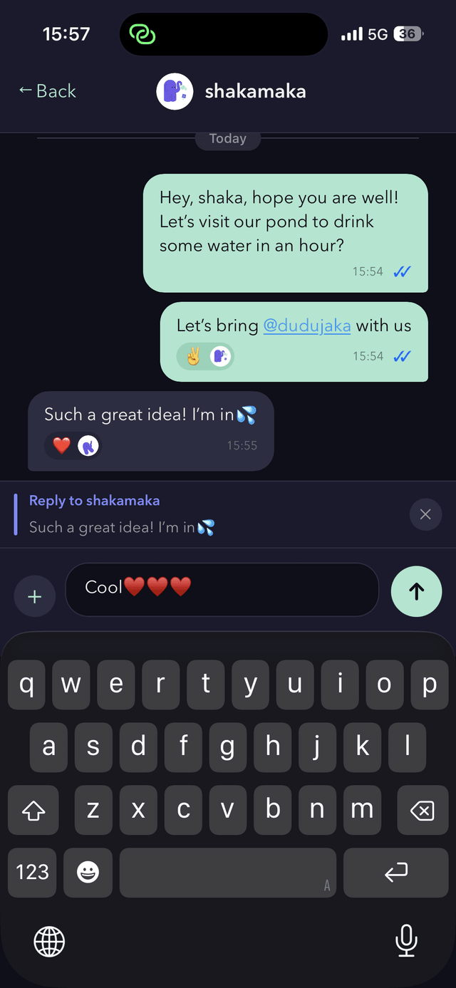 Direct message conversation